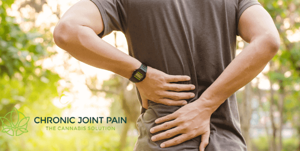 cbd for back pain