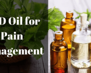 Top Hemp Oil Products For Chronic Pain Relief