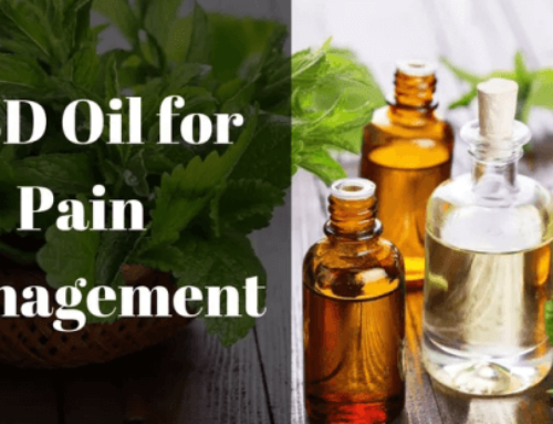 Top Hemp Oil Products For Chronic Pain Relief