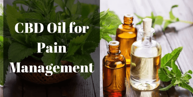 Top Hemp Oil Products For Chronic Pain Relief