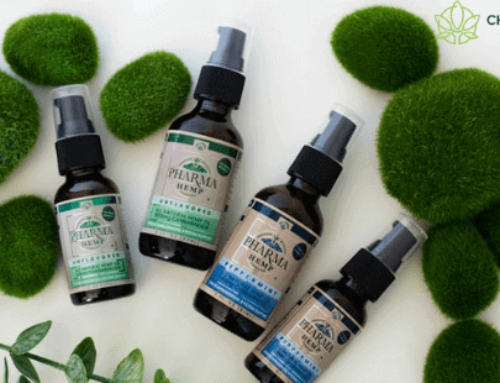 A Detailed Guide to CBD Oil Spray: Benefits, Uses and More