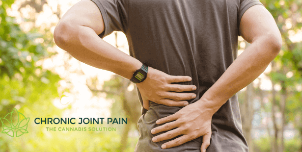 Back pain chronic