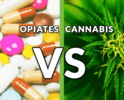 Chronic Pain and Opioids