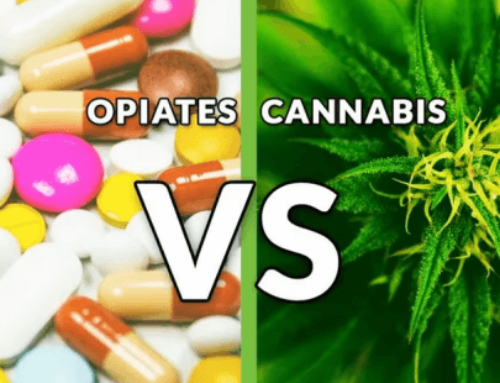 Chronic Pain and Opioids, Why Big Pharma Hates Cannabis