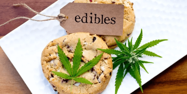 Best CBD Edibles For Chronic Pain