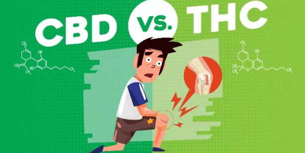 CBD vs THC For Pain Management