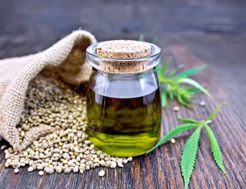 Ways to Include Organic Hemp Oil in Your Daily Life