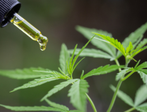 A Beginner’s Guide to Using CBD Oil for Treatment of Chronic Joint Pain